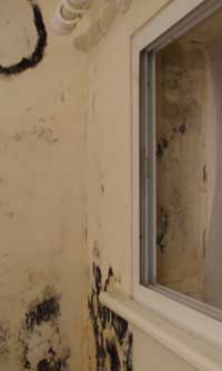 Mould markings in the corner of a room.
